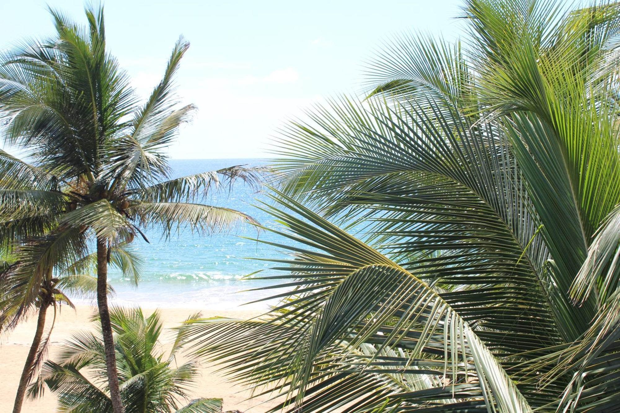 Prana Beach Hotel Ex Guli Hikkaduwa Εξωτερικό φωτογραφία